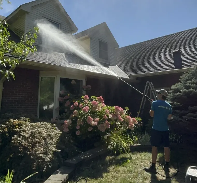 Soft washing the exterior siding of a home in London, Ontario