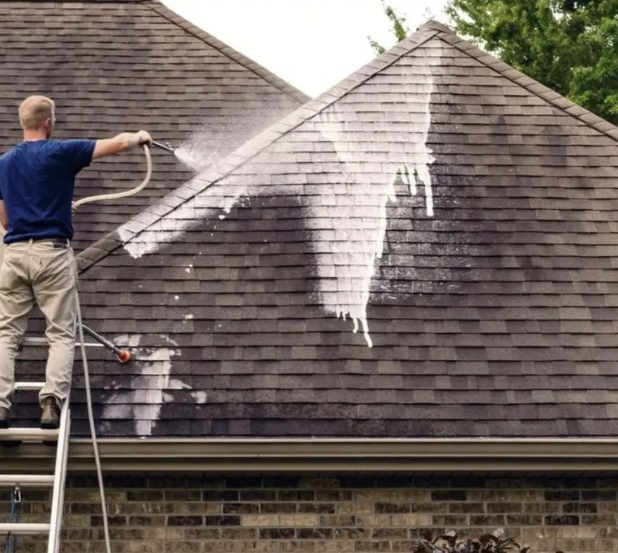 Soft washing a residential asphalt shingle roof to remove black streaks and moss